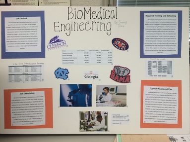 career research project example